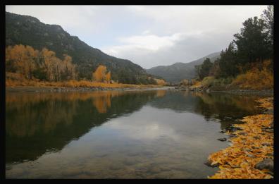 Autumn on the Yellowstone_Copyright_MacNeil_Lyons_Images