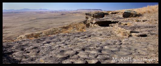 1st People's Buffalo Jump - Copyright MacNeil Lyons Images
