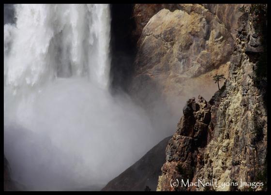 Isolation on the Lower Falls (c) MacNeil Lyons Images