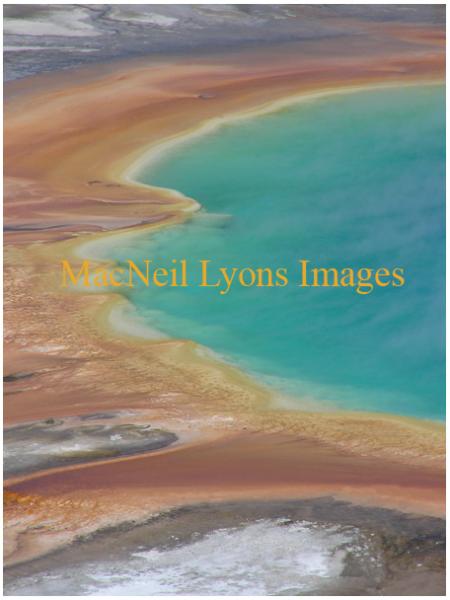 Grand Prismatic Spring - Copyright MacNeil Lyons Images