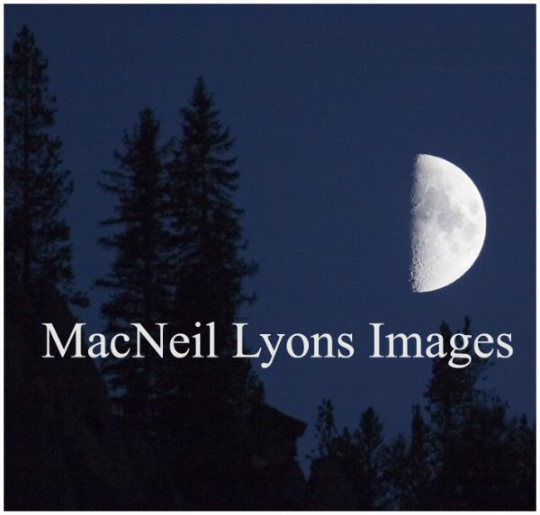 Half Moon - Copyright MacNeil Lyons Images