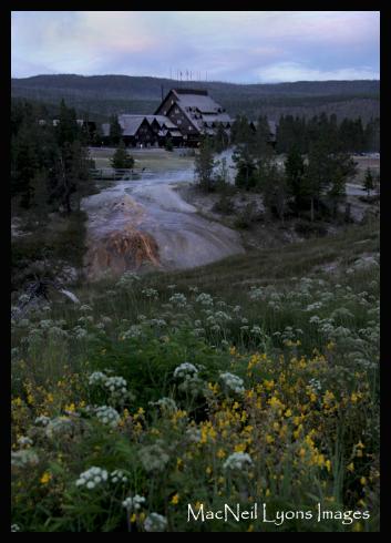 Old Faithful Inn & pre-dawn wildflowers - Copyright MacNeil Lyons Images
