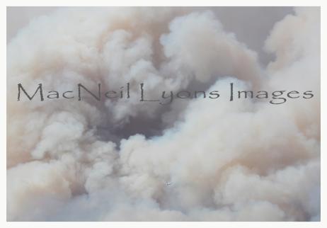ParadiseValleyFire3_Copyright_MacNeil_Lyons_Images