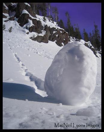 Snow Rolls - Copyright MacNeil Lyons Images