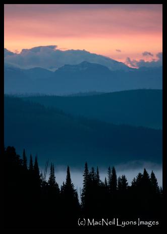 Sunrise in The Heart & Elk Fever